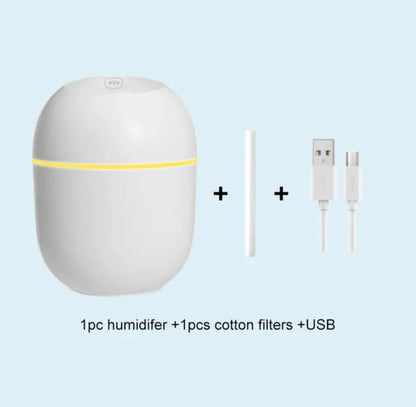 Portable Car Air Humidifier with LED Night Lamp